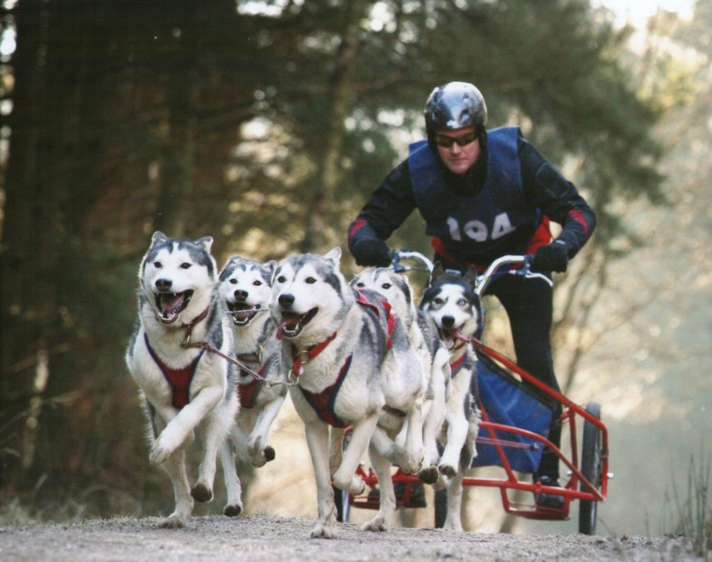 Factory Racing Husky An introduction to Husky Racing | Skinner’s