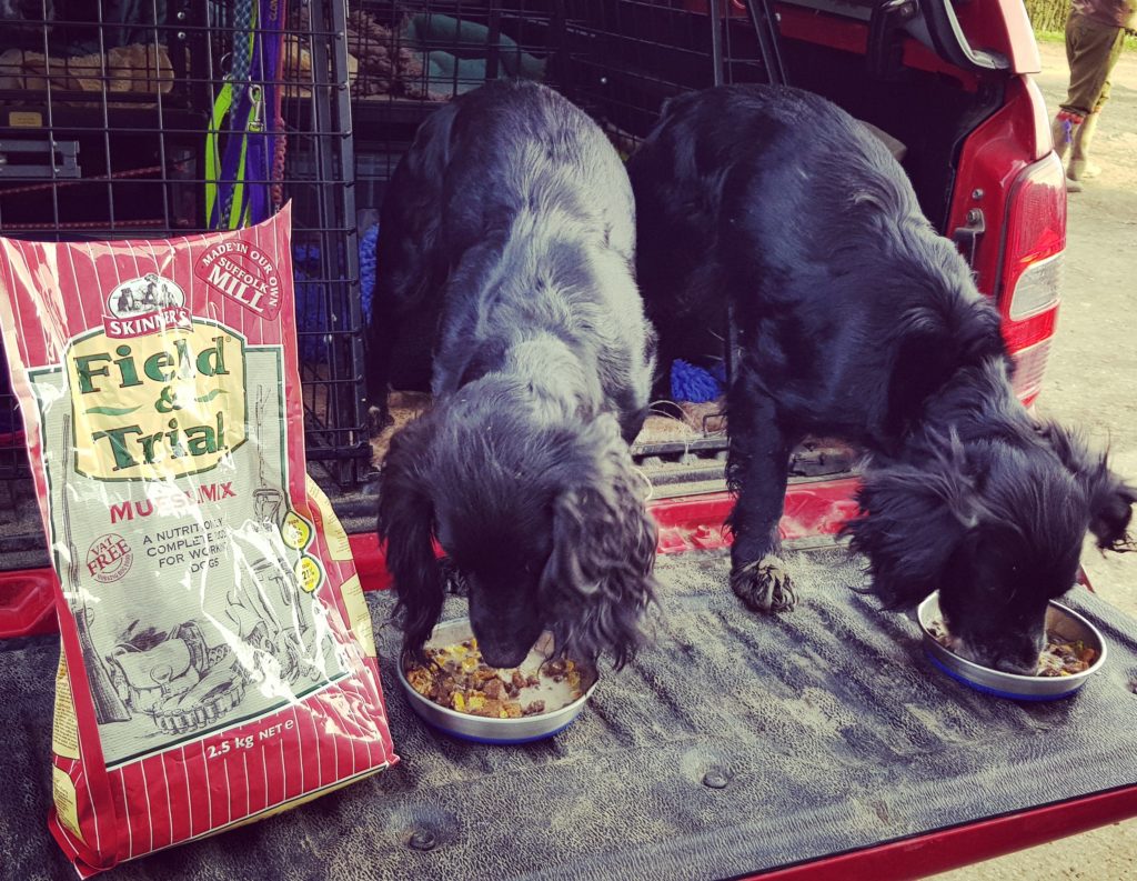 Active & Working Dogs