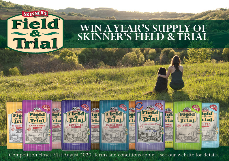 Skinner's Tails Competitions