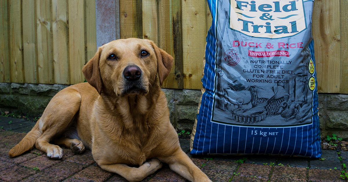 Gelert dog food tesco cheap