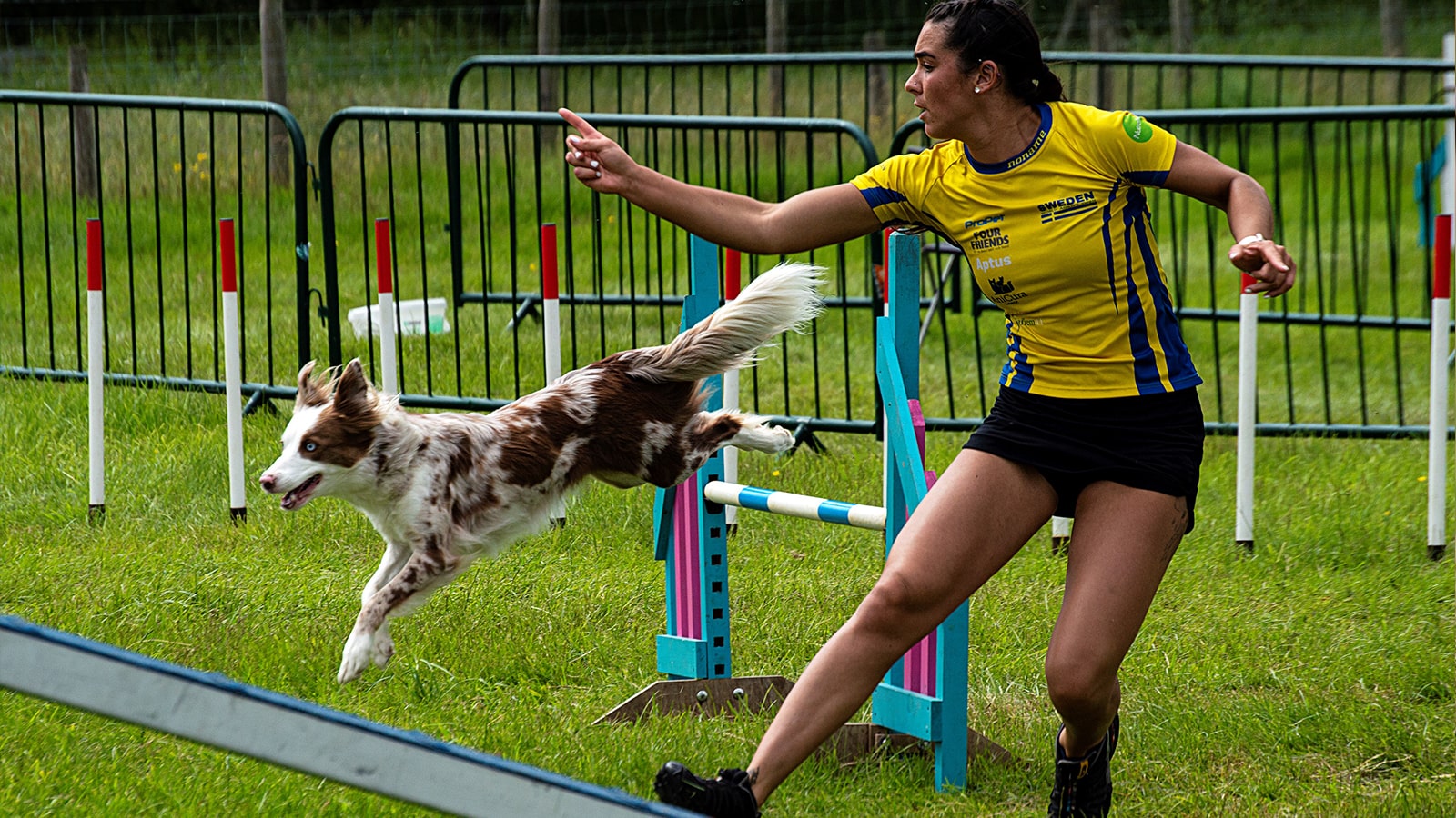 Agility Star Rachael Gilmour