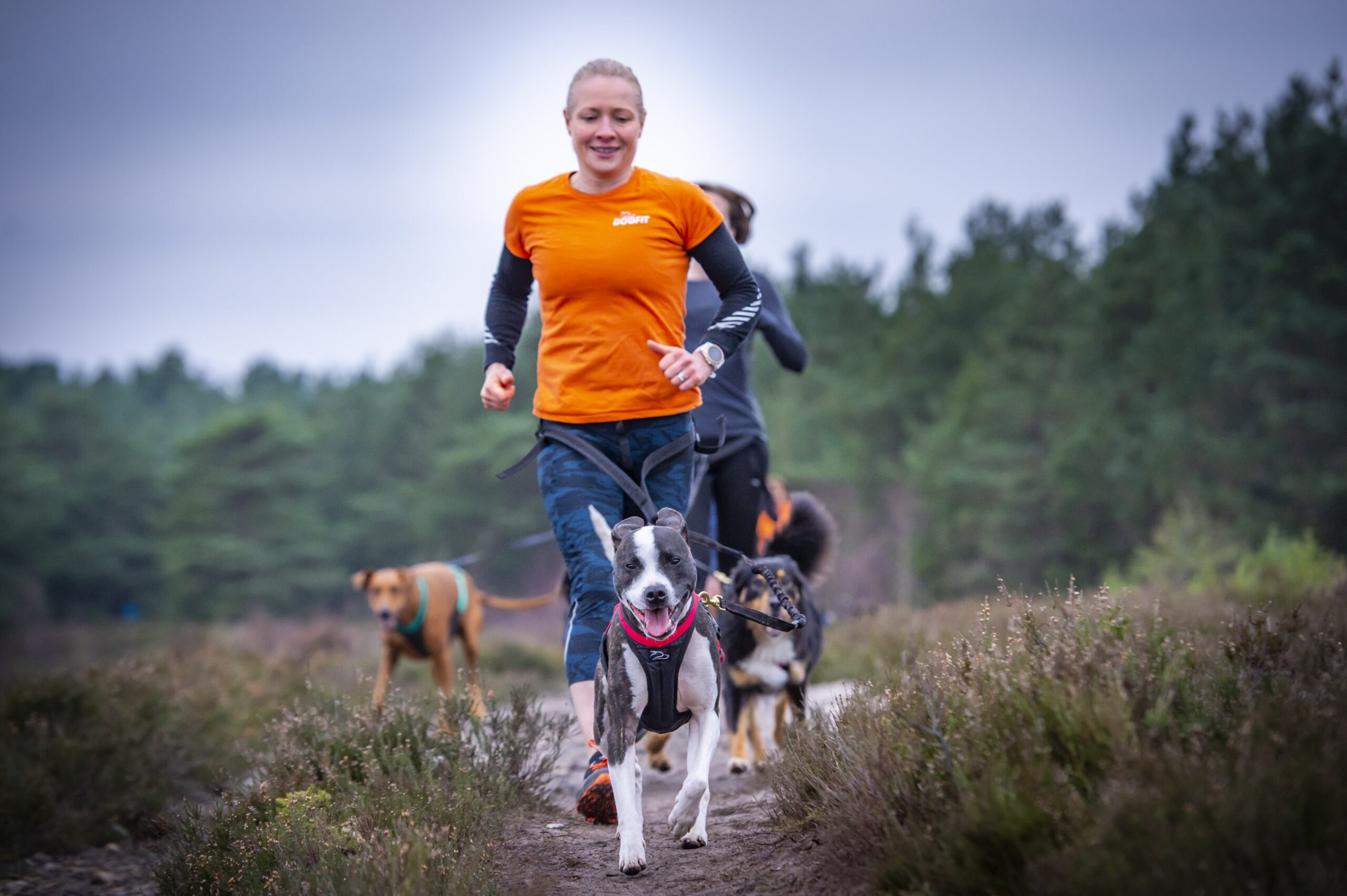Canicross, the fun way to get fit with your dog