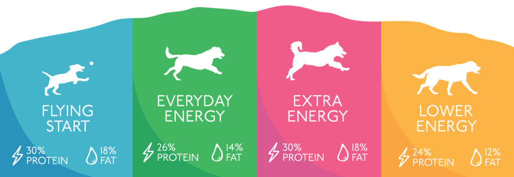 How much energy does my dog need to run? Which of the Skinner's new Get Out And Go! foods should I feed my dog?