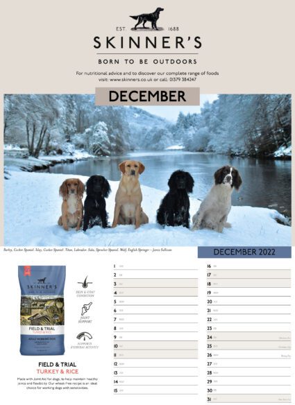 Skinner's calendar 2021 - December