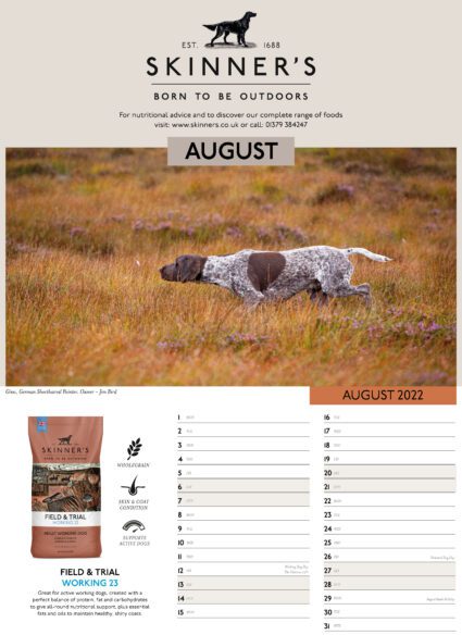 Skinner's calendar 2021 - August