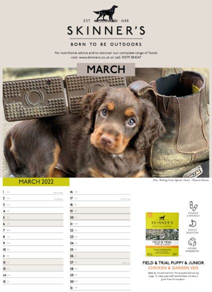Skinner's calendar 2021 - March