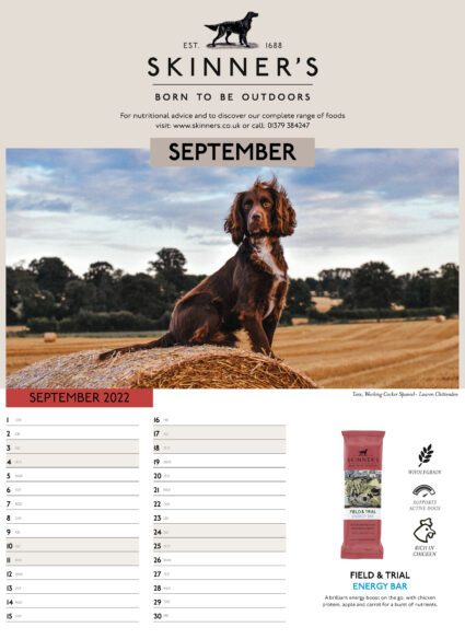 Skinner's calendar 2021 - September