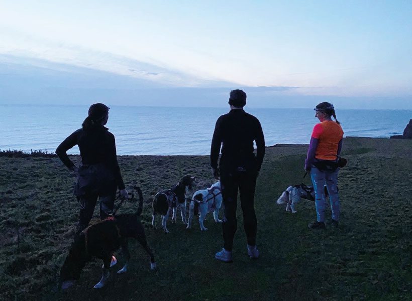 Canicrosss with gundogs and night time run